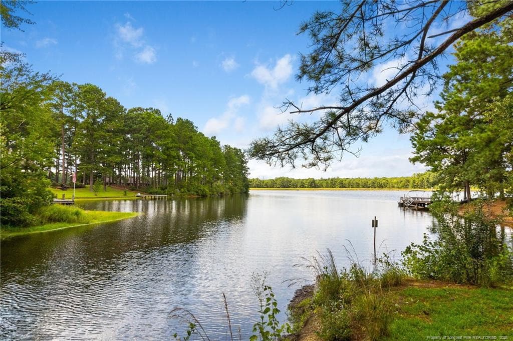 Photo 3 - 16401 Lakeshore Drive, Wagram, NC 28396