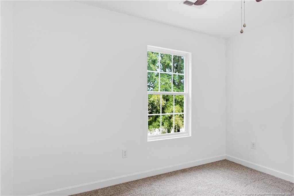 Photo 25 - 805 Bellingham Way, Fayetteville, NC 28312, Fayetteville
