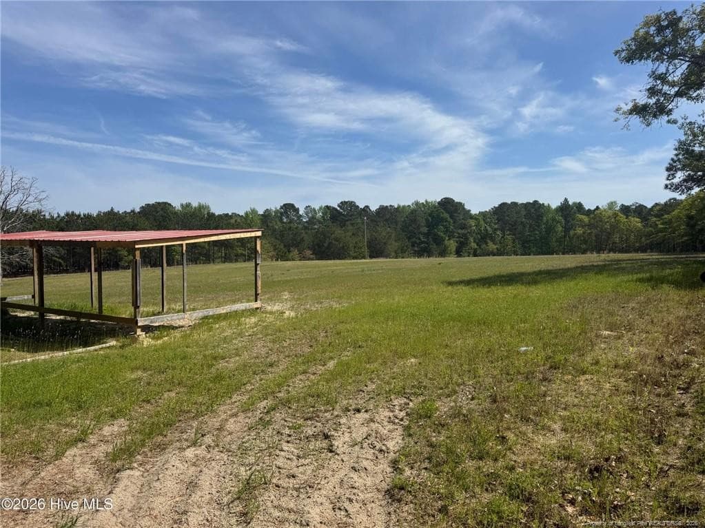 Photo 18 - 490 Springhill Church Road, Hamlet, NC 28345, Hamlet
