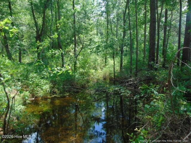 Photo 19 - 490 Springhill Church Road, Hamlet, NC 28345, Hamlet