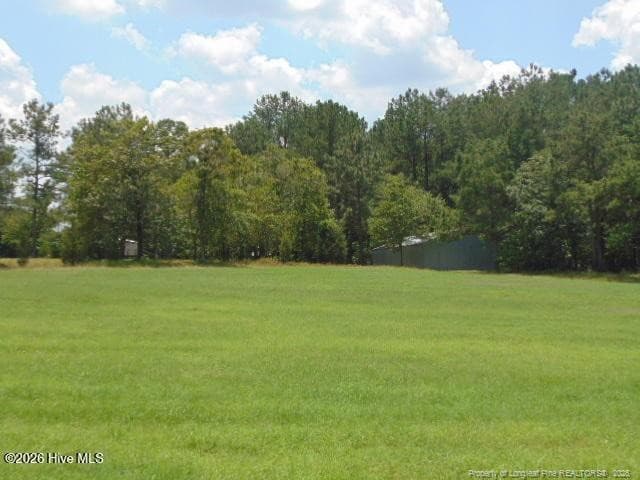 Photo 21 - 490 Springhill Church Road, Hamlet, NC 28345, Hamlet