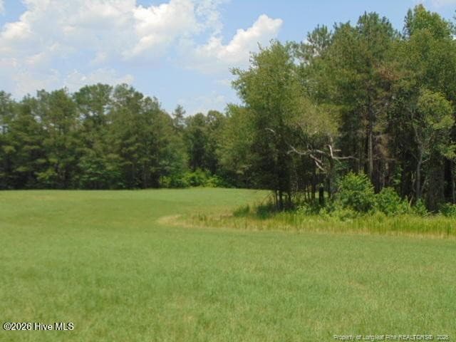 Photo 22 - 490 Springhill Church Road, Hamlet, NC 28345, Hamlet