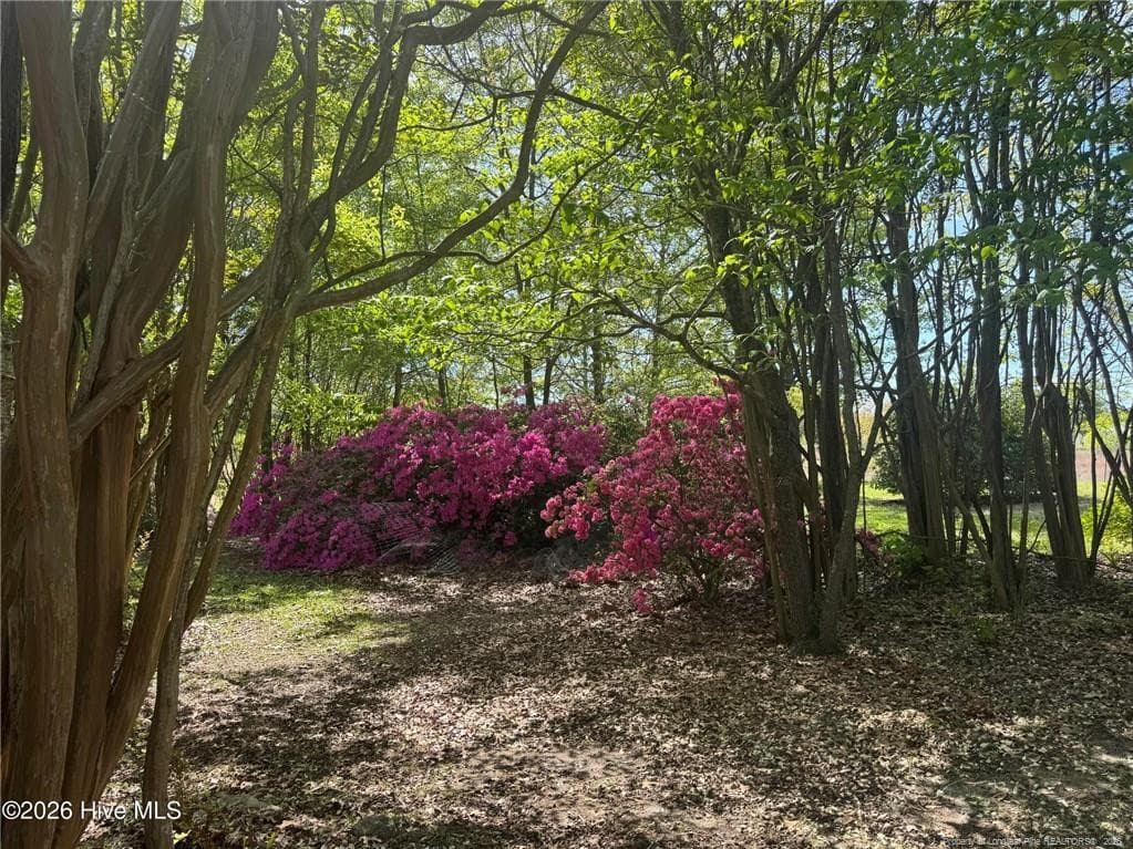 Photo 23 - 490 Springhill Church Road, Hamlet, NC 28345, Hamlet