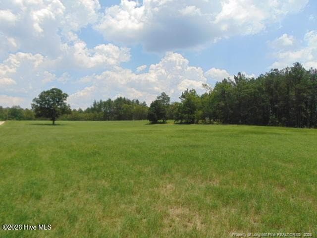 Photo 20 - 490 Springhill Church Road, Hamlet, NC 28345, Hamlet