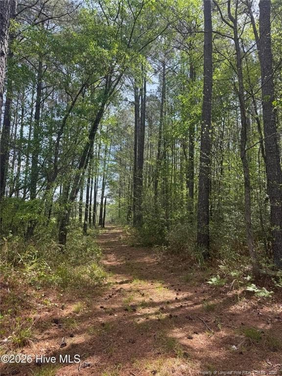 Photo 27 - 490 Springhill Church Road, Hamlet, NC 28345, Hamlet