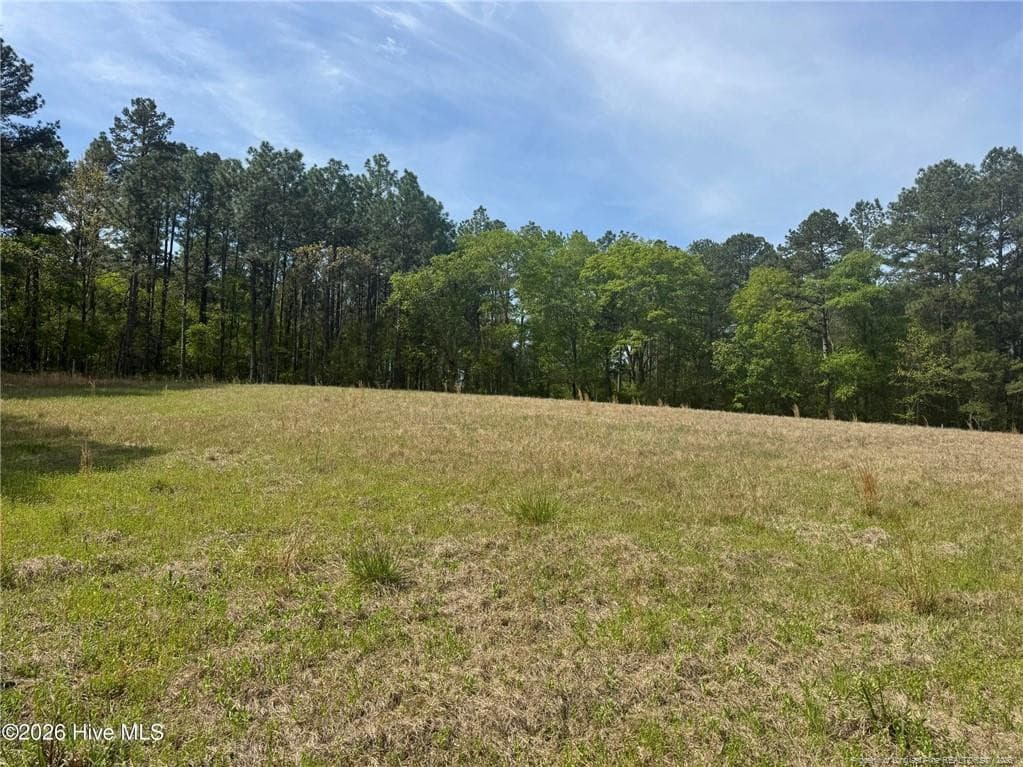 Photo 29 - 490 Springhill Church Road, Hamlet, NC 28345, Hamlet