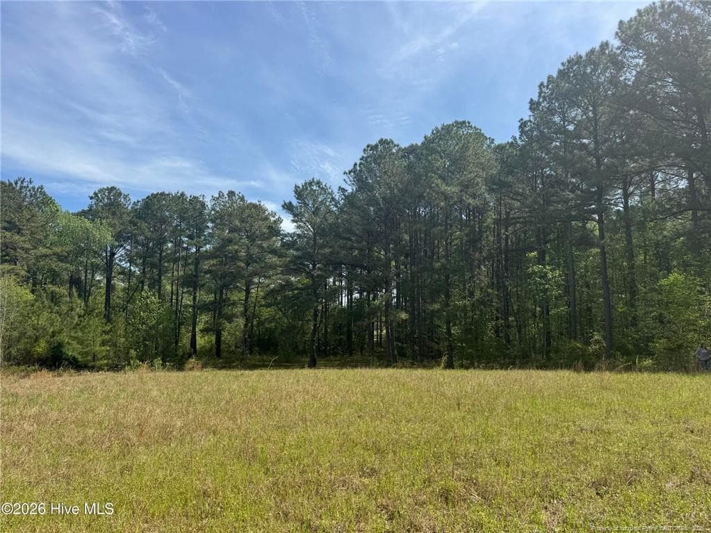 Photo 30 - 490 Springhill Church Road, Hamlet, NC 28345, Hamlet