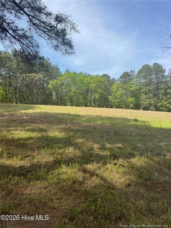 Photo 28 - 490 Springhill Church Road, Hamlet, NC 28345, Hamlet