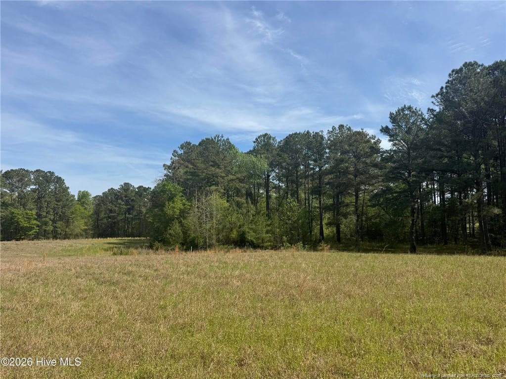 Photo 31 - 490 Springhill Church Road, Hamlet, NC 28345, Hamlet