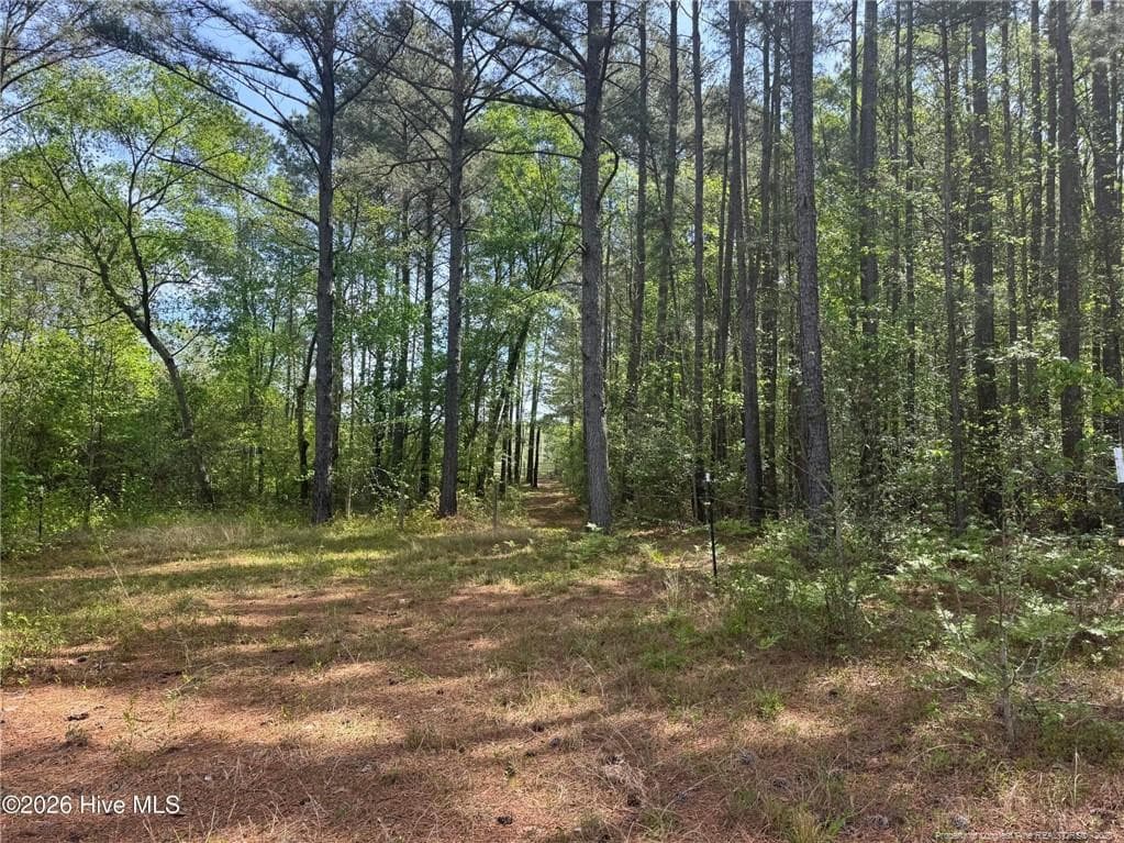 Photo 32 - 490 Springhill Church Road, Hamlet, NC 28345, Hamlet