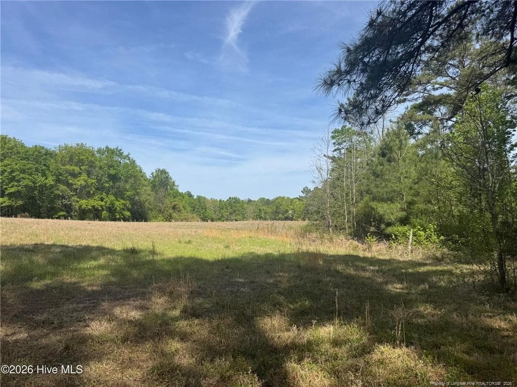 Photo 33 - 490 Springhill Church Road, Hamlet, NC 28345, Hamlet