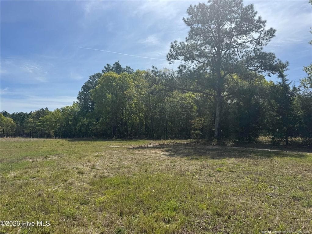 Photo 35 - 490 Springhill Church Road, Hamlet, NC 28345, Hamlet