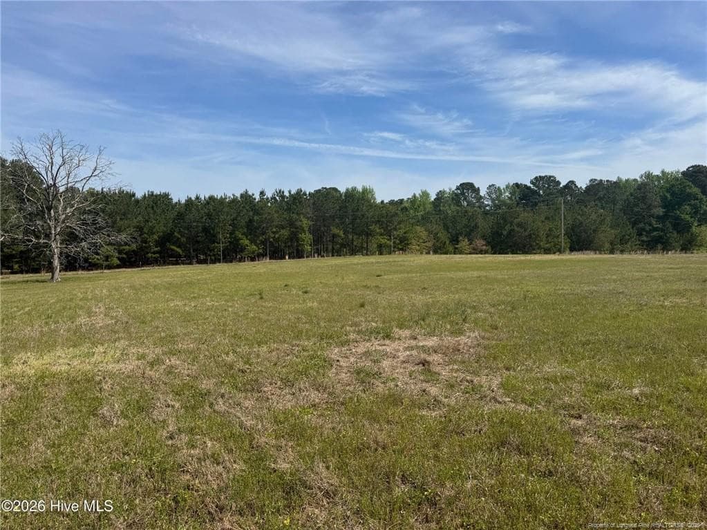 Photo 36 - 490 Springhill Church Road, Hamlet, NC 28345, Hamlet