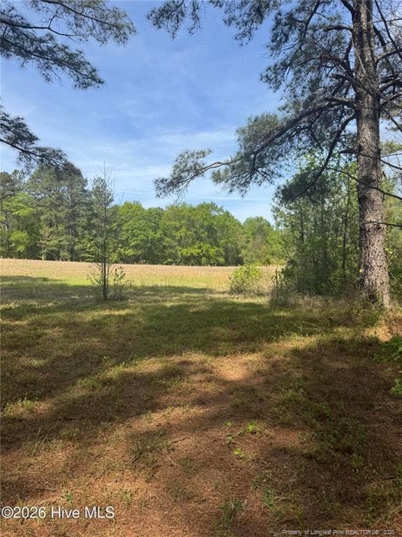 Photo 34 - 490 Springhill Church Road, Hamlet, NC 28345, Hamlet