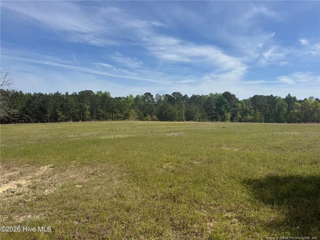 Photo 38 - 490 Springhill Church Road, Hamlet, NC 28345, Hamlet