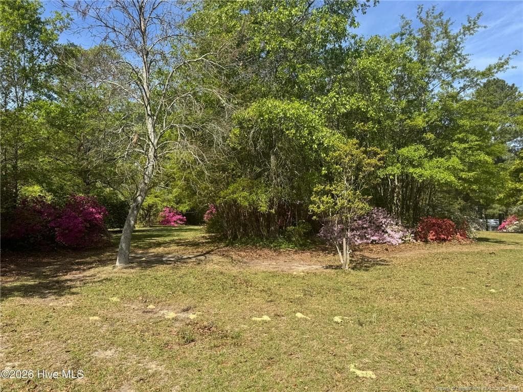 Photo 40 - 490 Springhill Church Road, Hamlet, NC 28345, Hamlet