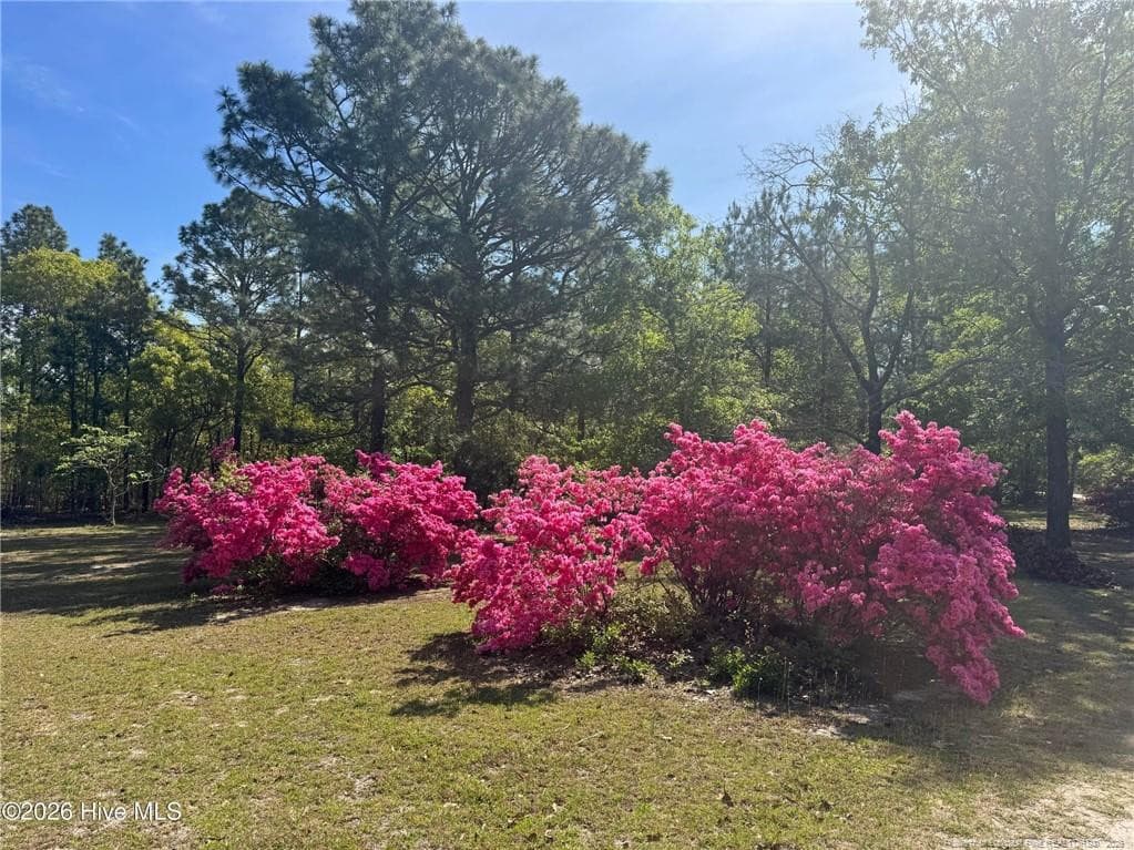 Photo 41 - 490 Springhill Church Road, Hamlet, NC 28345, Hamlet