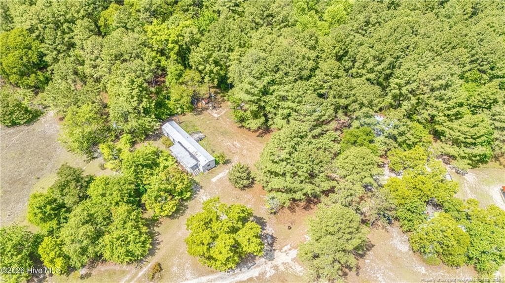 Photo 42 - 490 Springhill Church Road, Hamlet, NC 28345, Hamlet