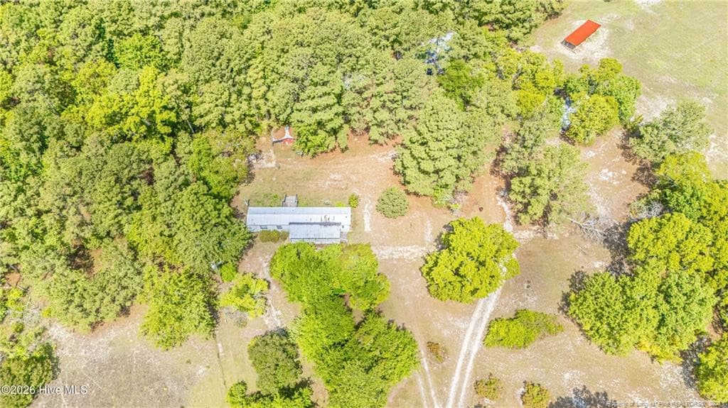 Photo 43 - 490 Springhill Church Road, Hamlet, NC 28345, Hamlet
