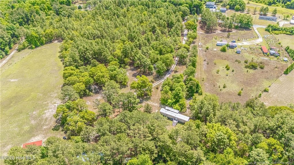 Photo 46 - 490 Springhill Church Road, Hamlet, NC 28345, Hamlet