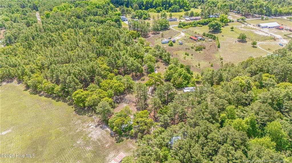 Photo 45 - 490 Springhill Church Road, Hamlet, NC 28345, Hamlet