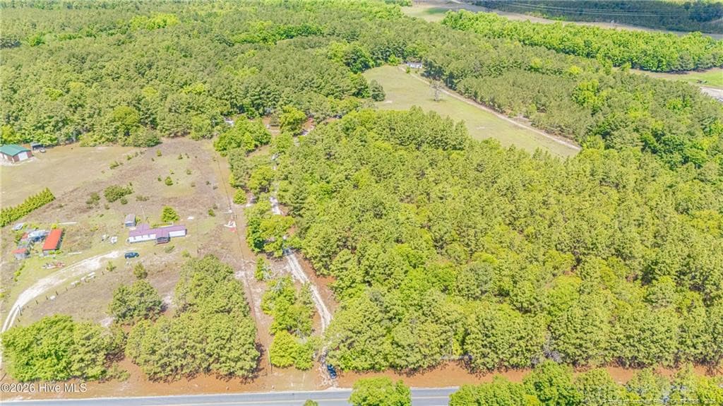 Photo 48 - 490 Springhill Church Road, Hamlet, NC 28345, Hamlet