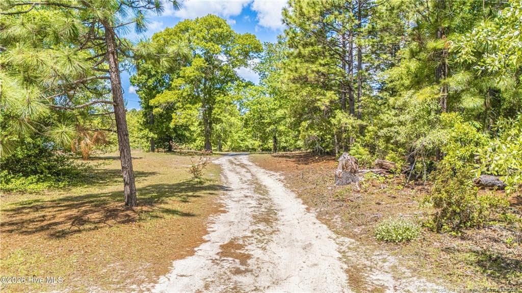 Photo 49 - 490 Springhill Church Road, Hamlet, NC 28345, Hamlet