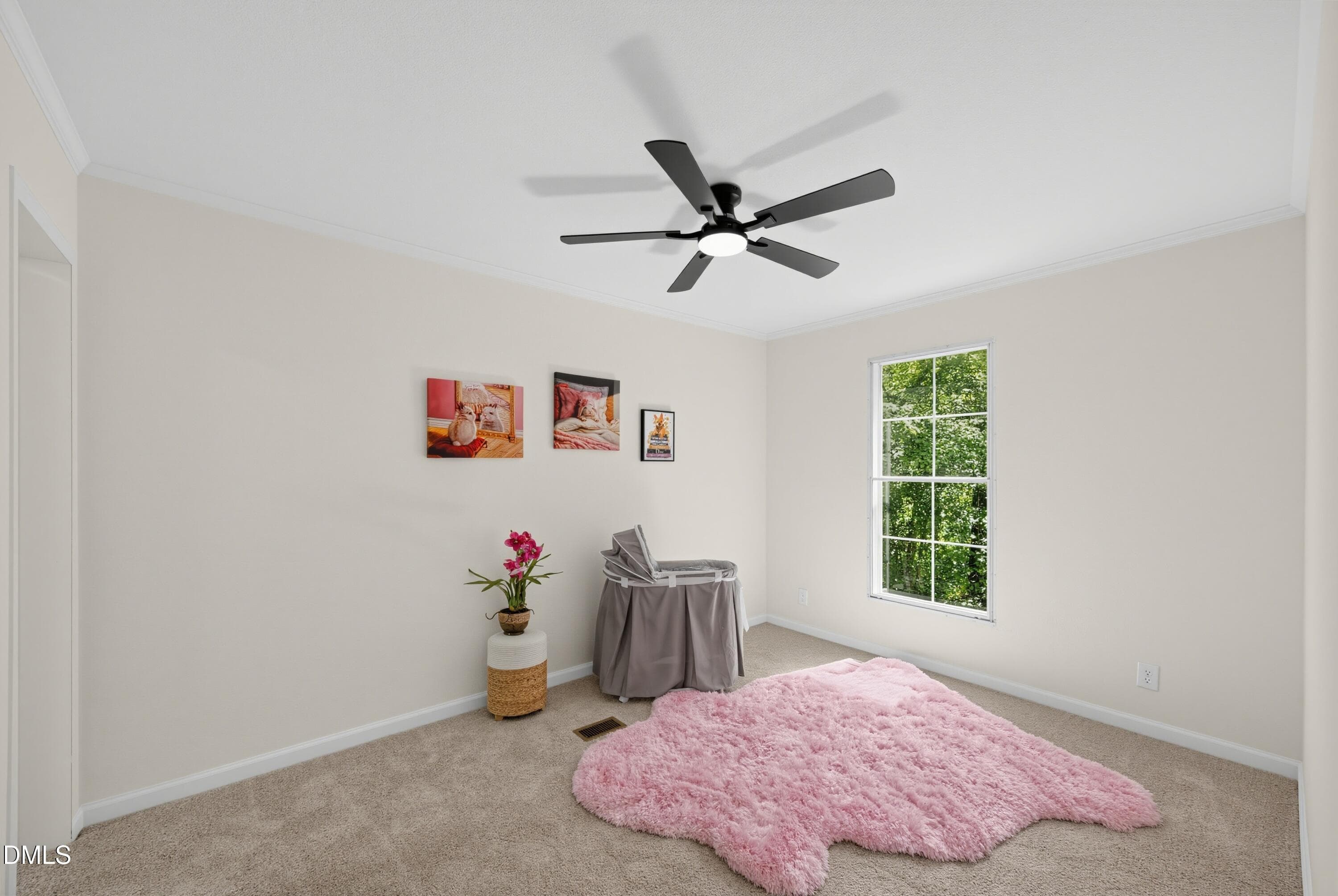 1788610868800-9L1A9717 - 129 Pet Rock Court, Clayton, NC 27520, Clayton