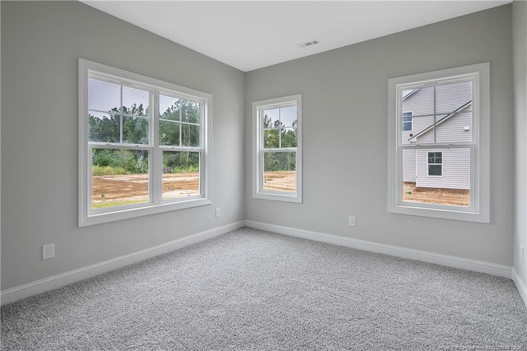 Photo 28 - 1951 Thomas Wood (Lot 96) Drive, Fayetteville, NC 28306, Fayetteville