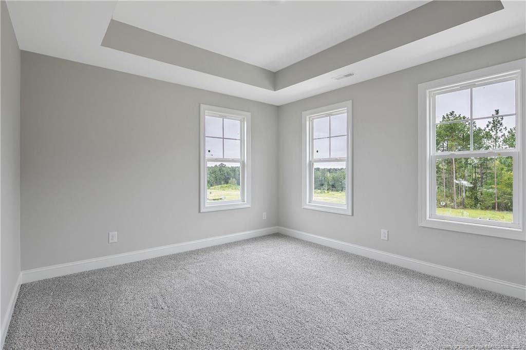 Photo 41 - 1951 Thomas Wood (Lot 96) Drive, Fayetteville, NC 28306, Fayetteville