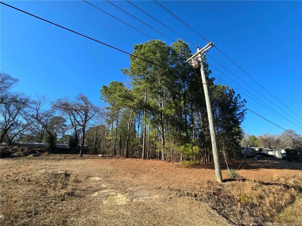 Photo 19 - 4026 Nursery Road, Spring Lake, NC 28390