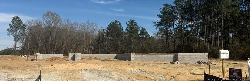 Photo 3 - 1959 Thomas Wood (Lot 94) Drive, Fayetteville, NC 28306, Fayetteville