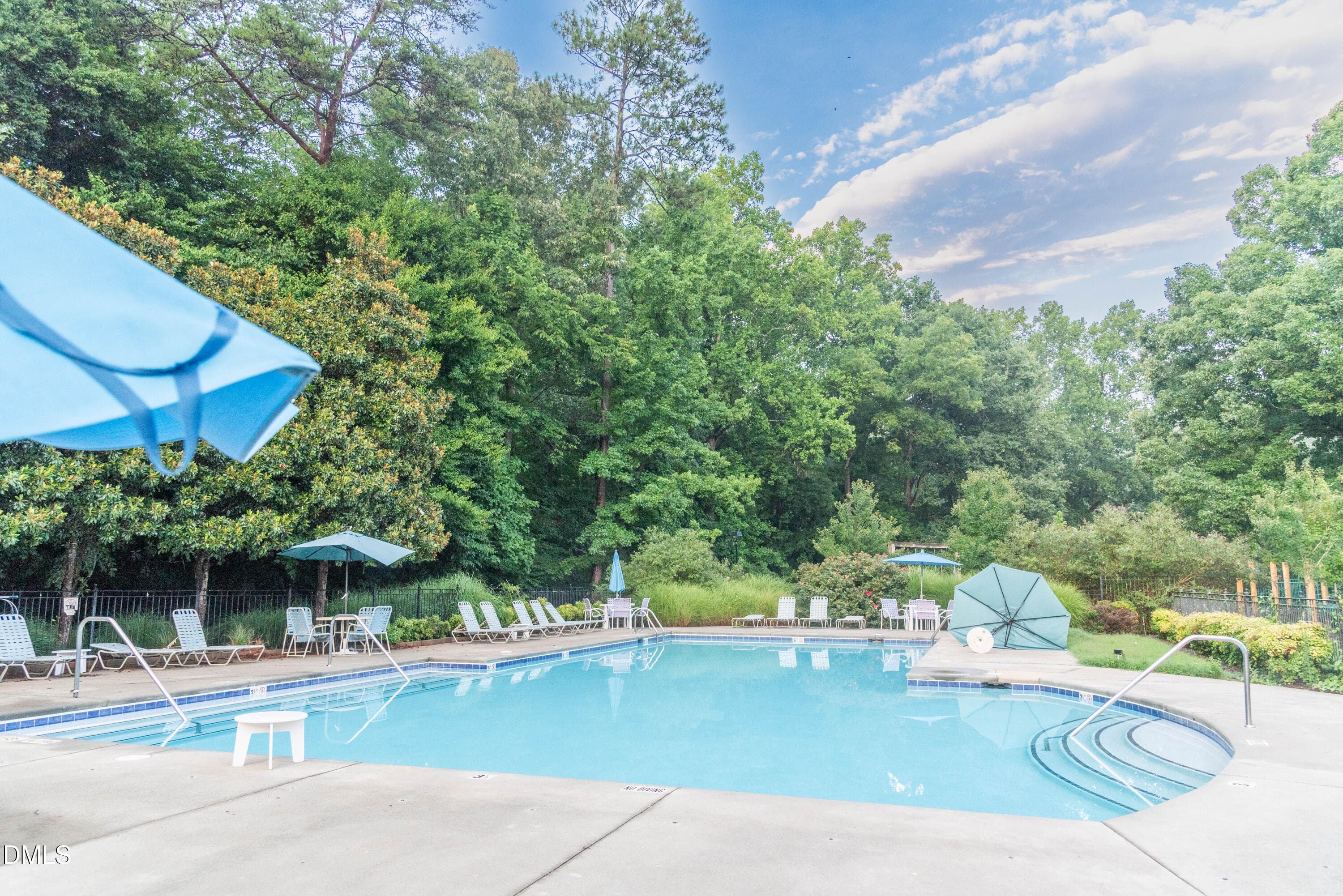 Community Pool - 130 S Camellia Street, Chapel Hill, NC 27516, Chapel Hill