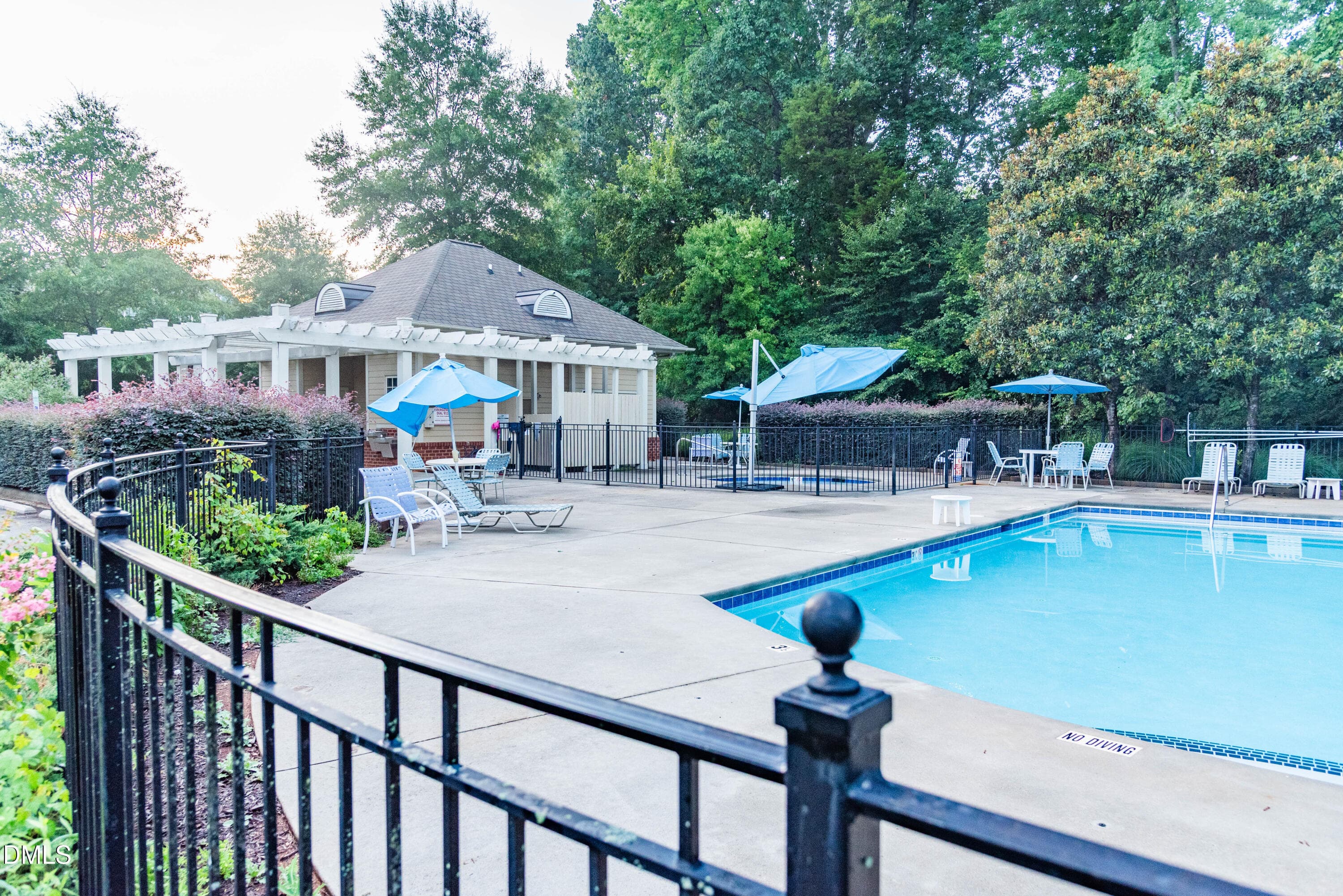 Community Pool - 130 S Camellia Street, Chapel Hill, NC 27516, Chapel Hill