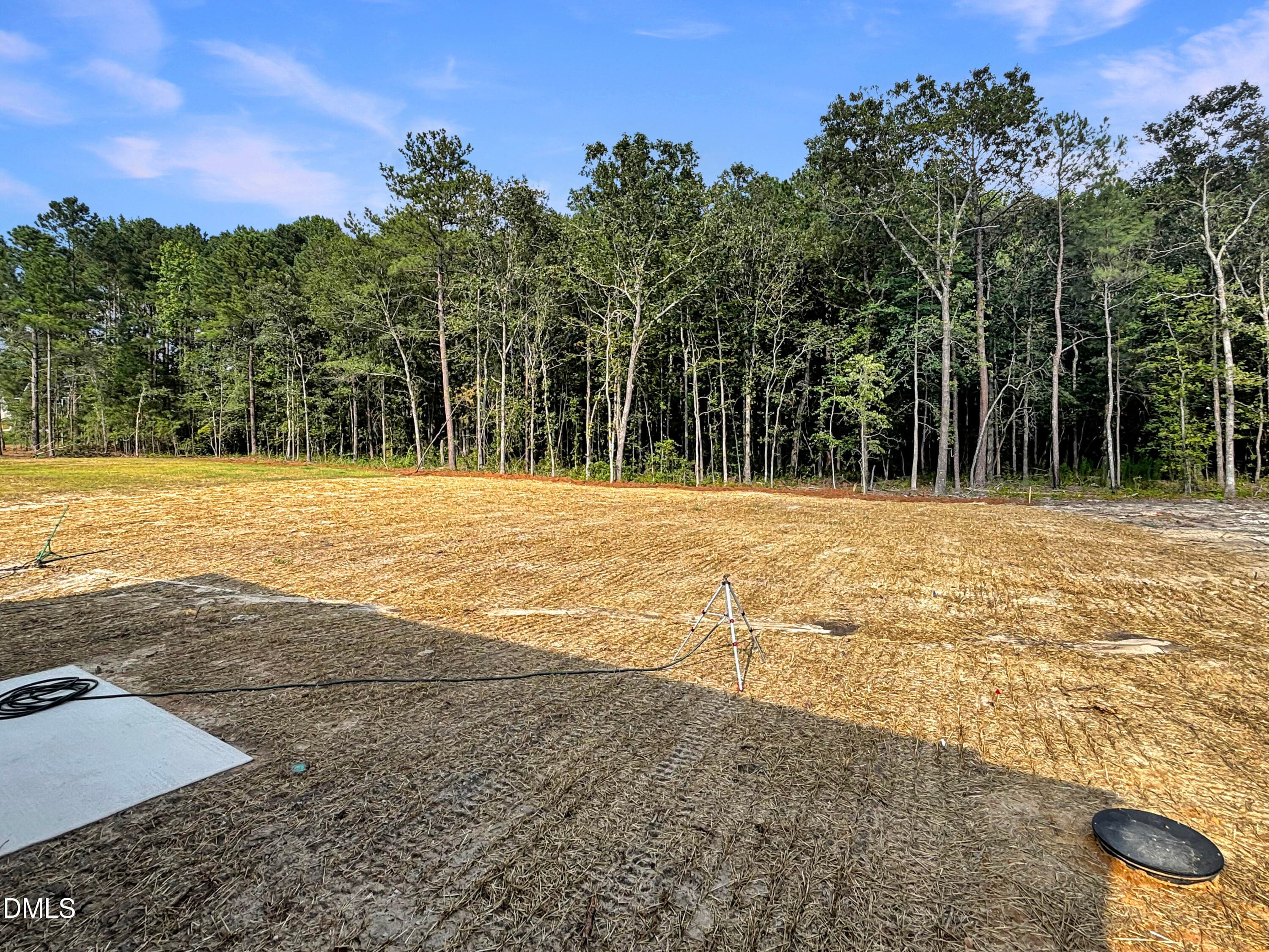 Wooded Backyard - 83 Bluestone Drive, Lillington, NC 27546