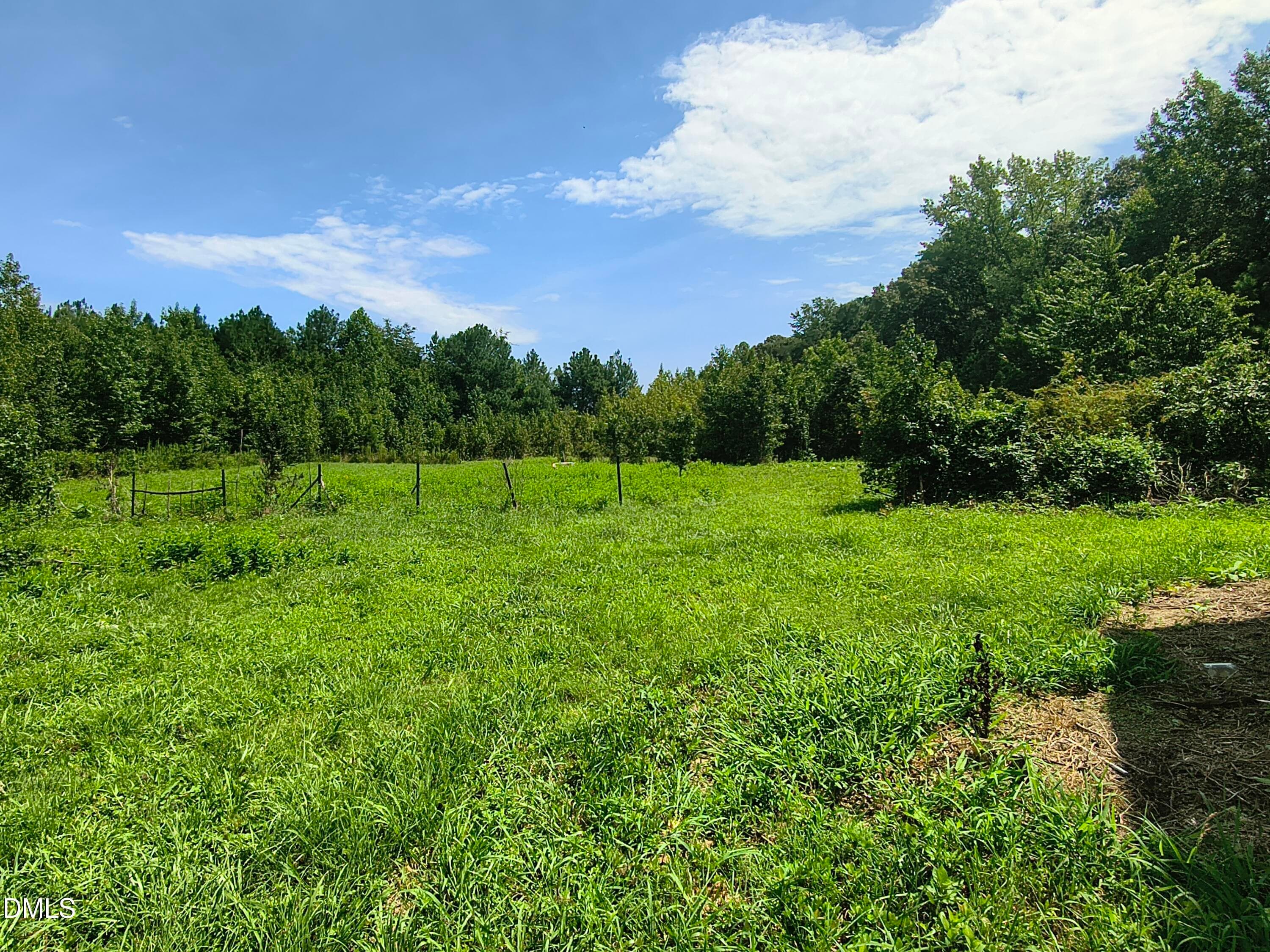 View - 81 Mt Harmony Church Road, Timberlake, NC 27583, Timberlake