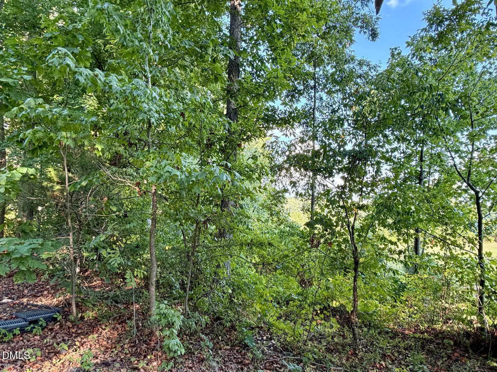 4 - 0 Satterwhite Point Road, Henderson, NC 27537, Henderson