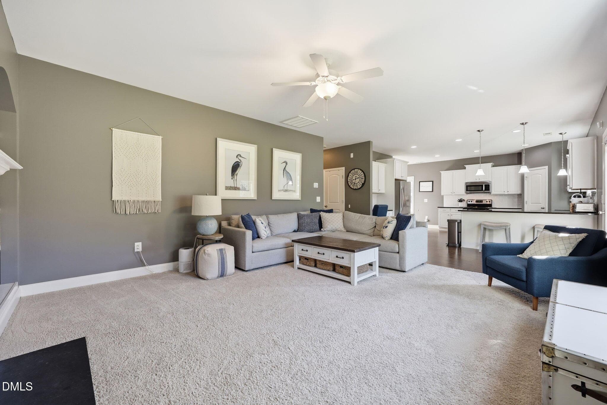 16-web-or-mls-IMG_3213 - 7808 Lagenaria Drive, Angier, NC 27501, Angier