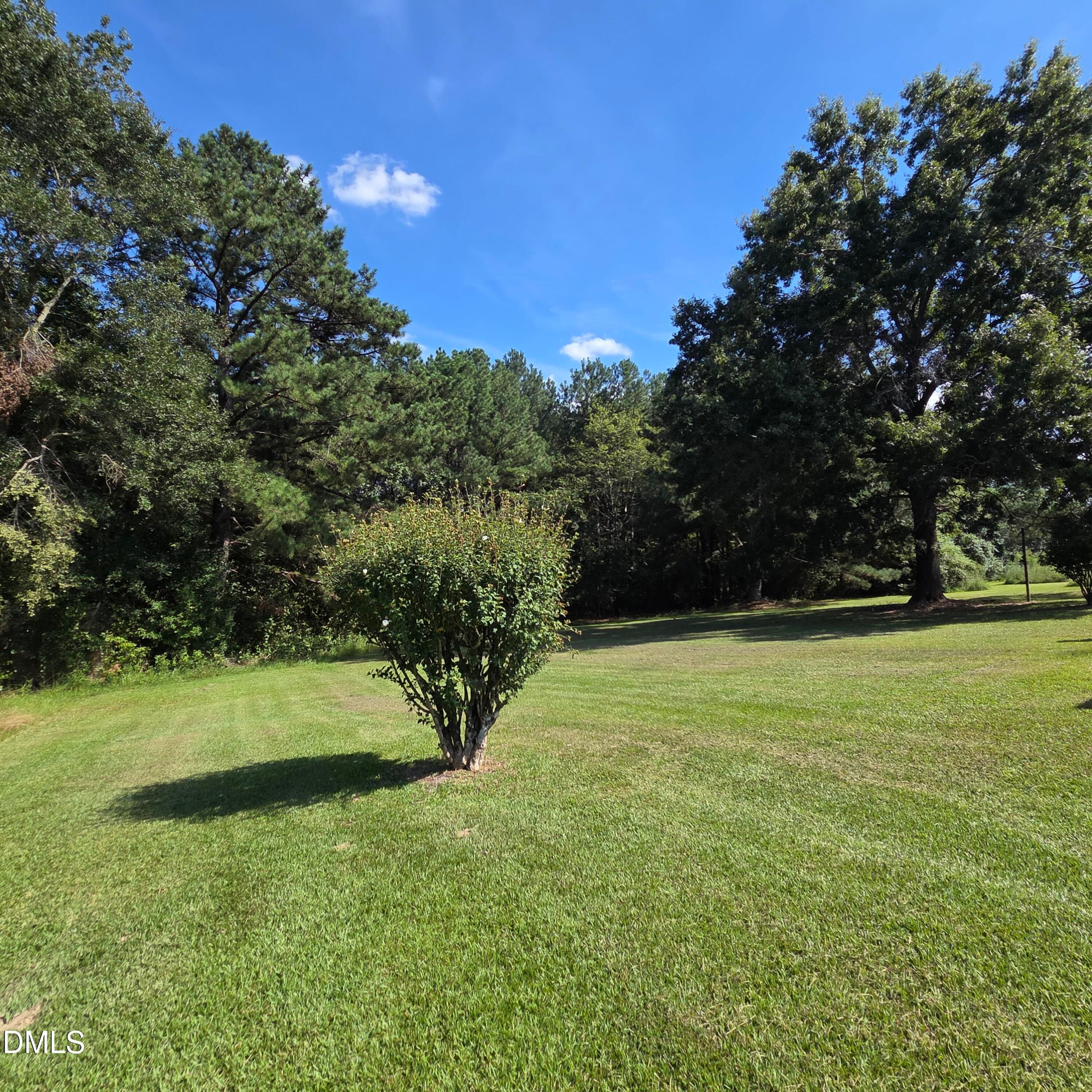 Spacious backyard yard - 307 Slate Top House Road, Clayton, NC 27520, Clayton