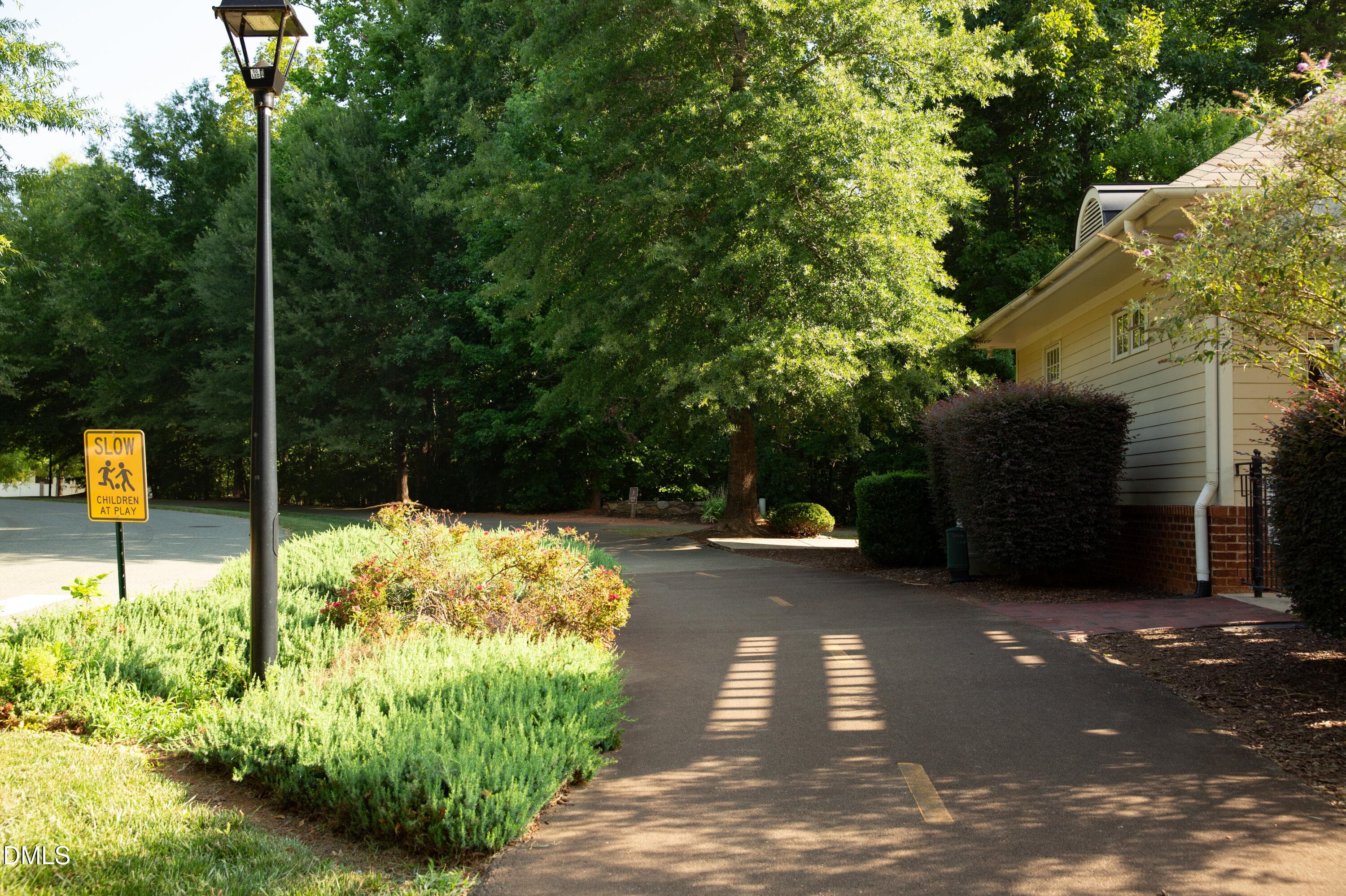 1N0A6203 - 130 S Camellia Street, Chapel Hill, NC 27516, Chapel Hill