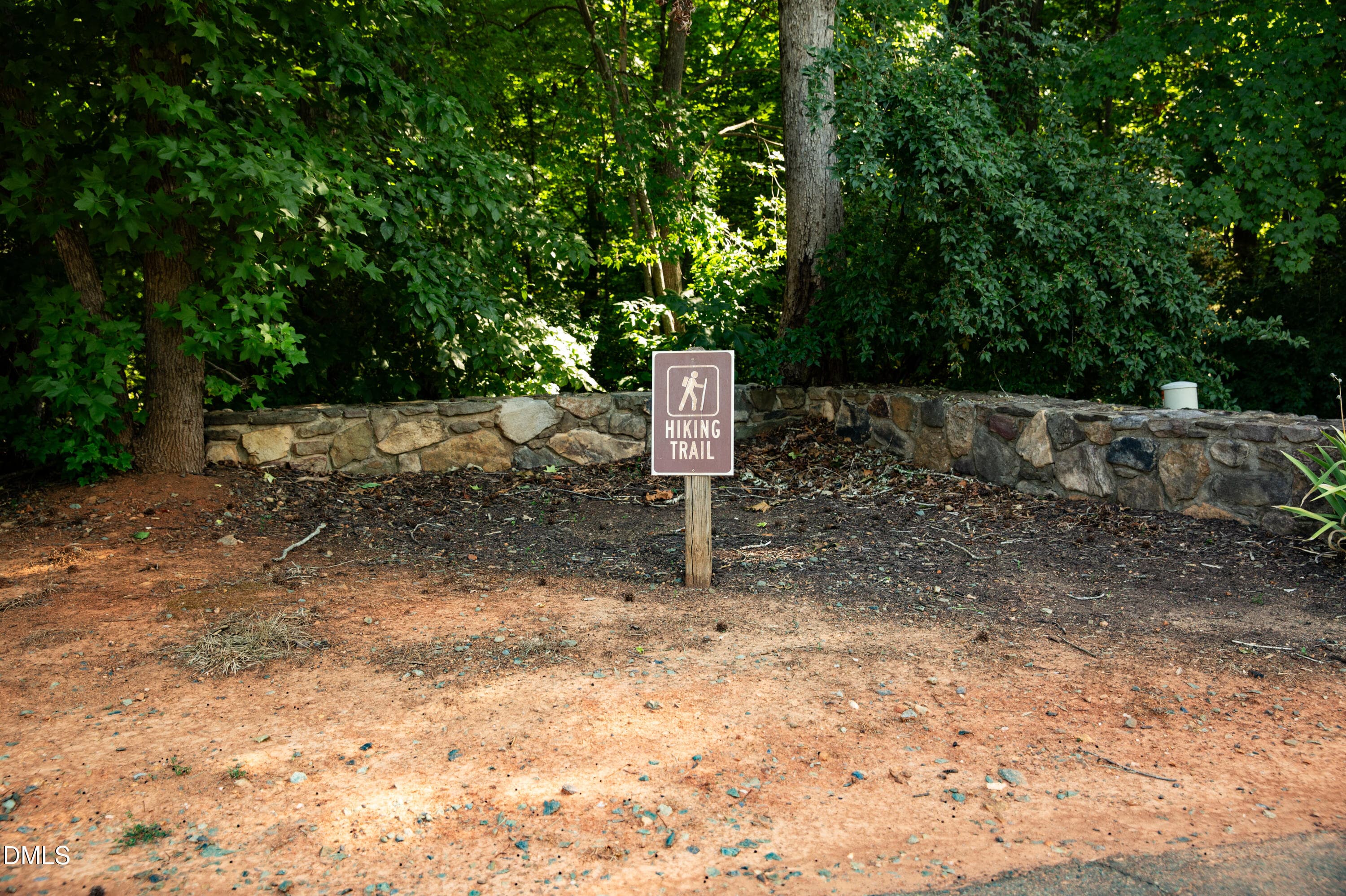 1N0A6233 - 130 S Camellia Street, Chapel Hill, NC 27516, Chapel Hill