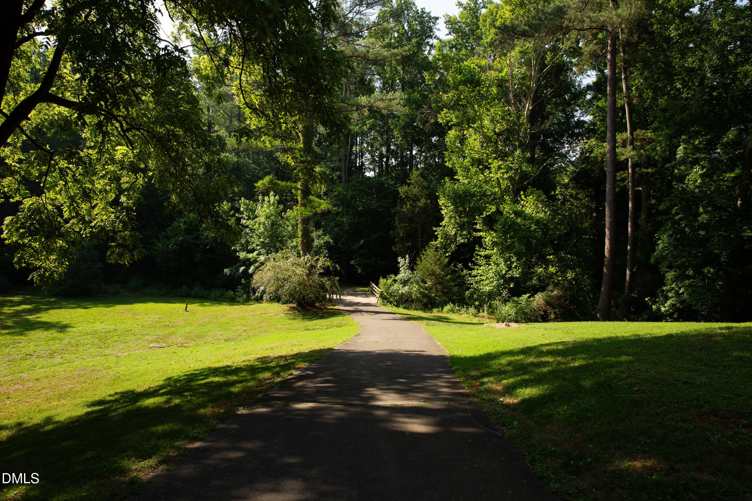 1N0A6265 - 130 S Camellia Street, Chapel Hill, NC 27516, Chapel Hill