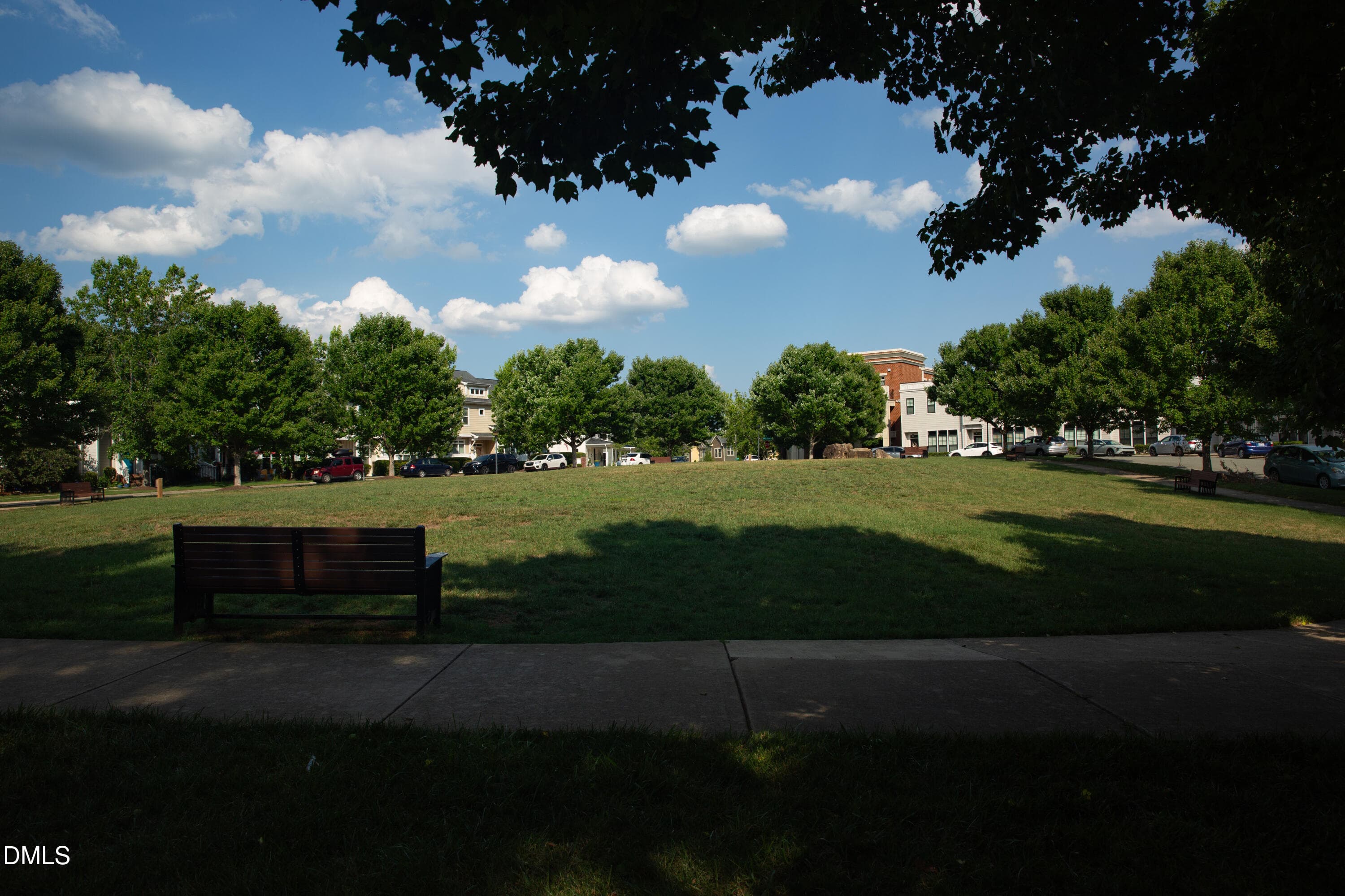 1N0A6817 - 130 S Camellia Street, Chapel Hill, NC 27516, Chapel Hill