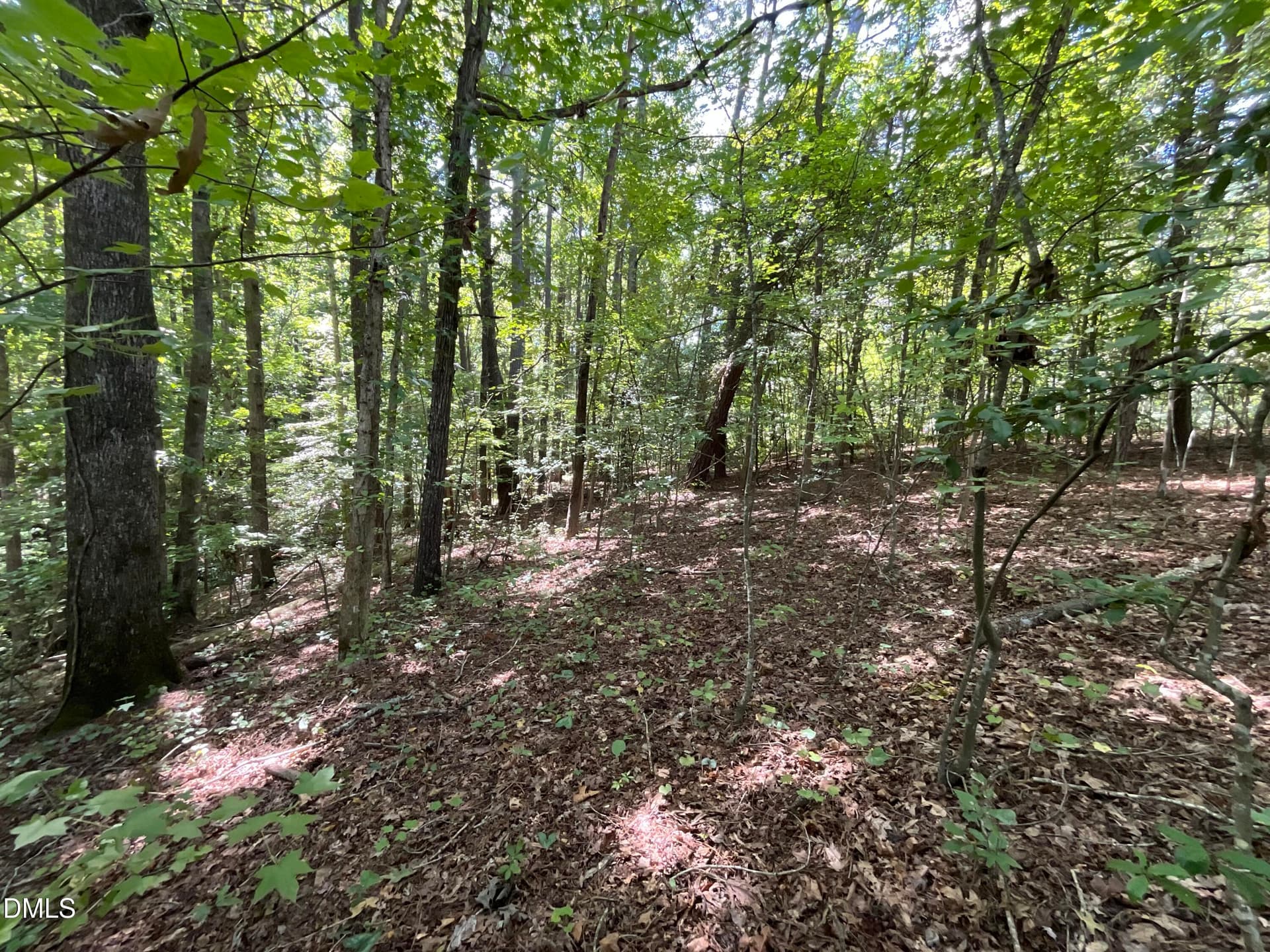 Lot - 0 Green Lane, Clayton, NC 27520