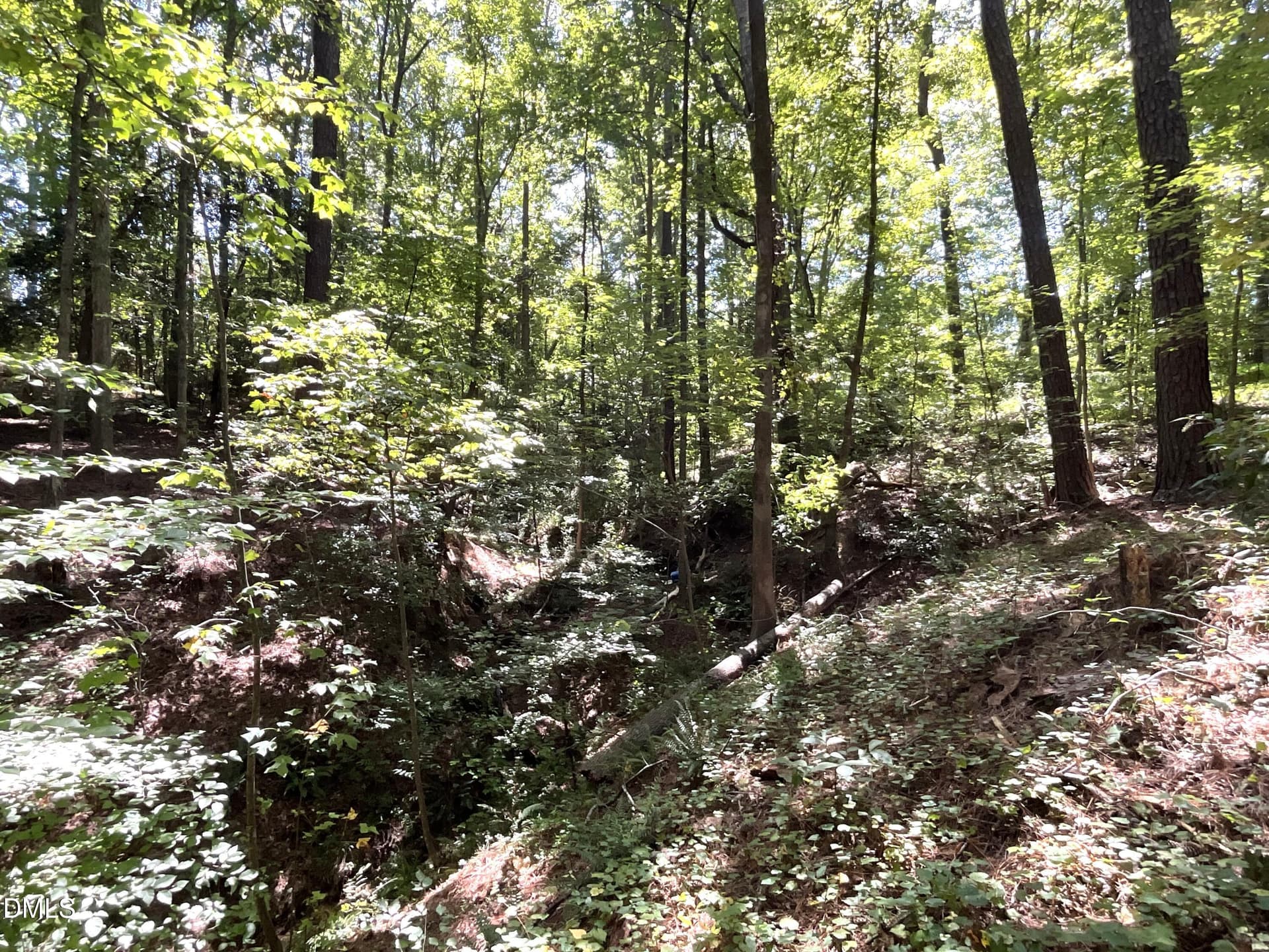 Lot - 0 Green Lane, Clayton, NC 27520