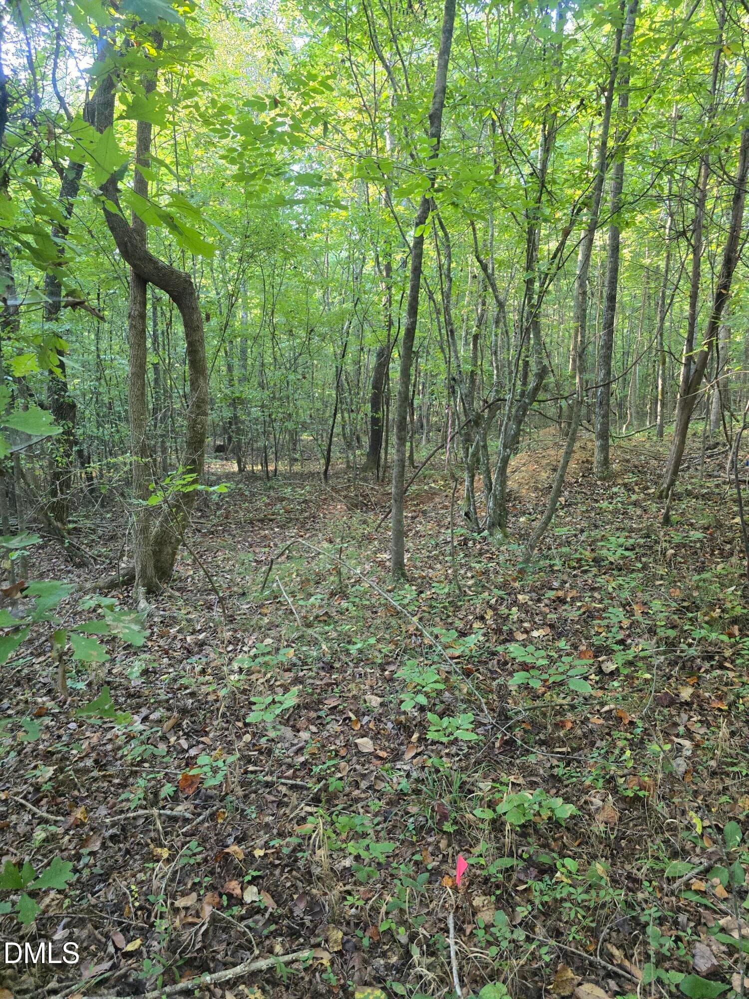 1000019342 - 4955 Dailey Store Road, Burlington, NC 27217, Burlington