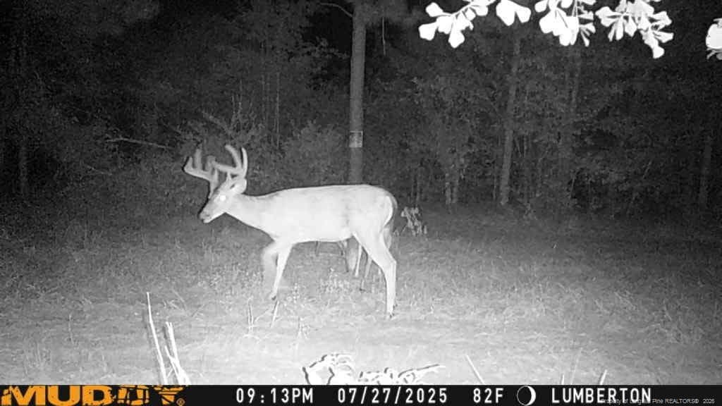 Photo 3 - Allen Street, Lumberton, NC 28359