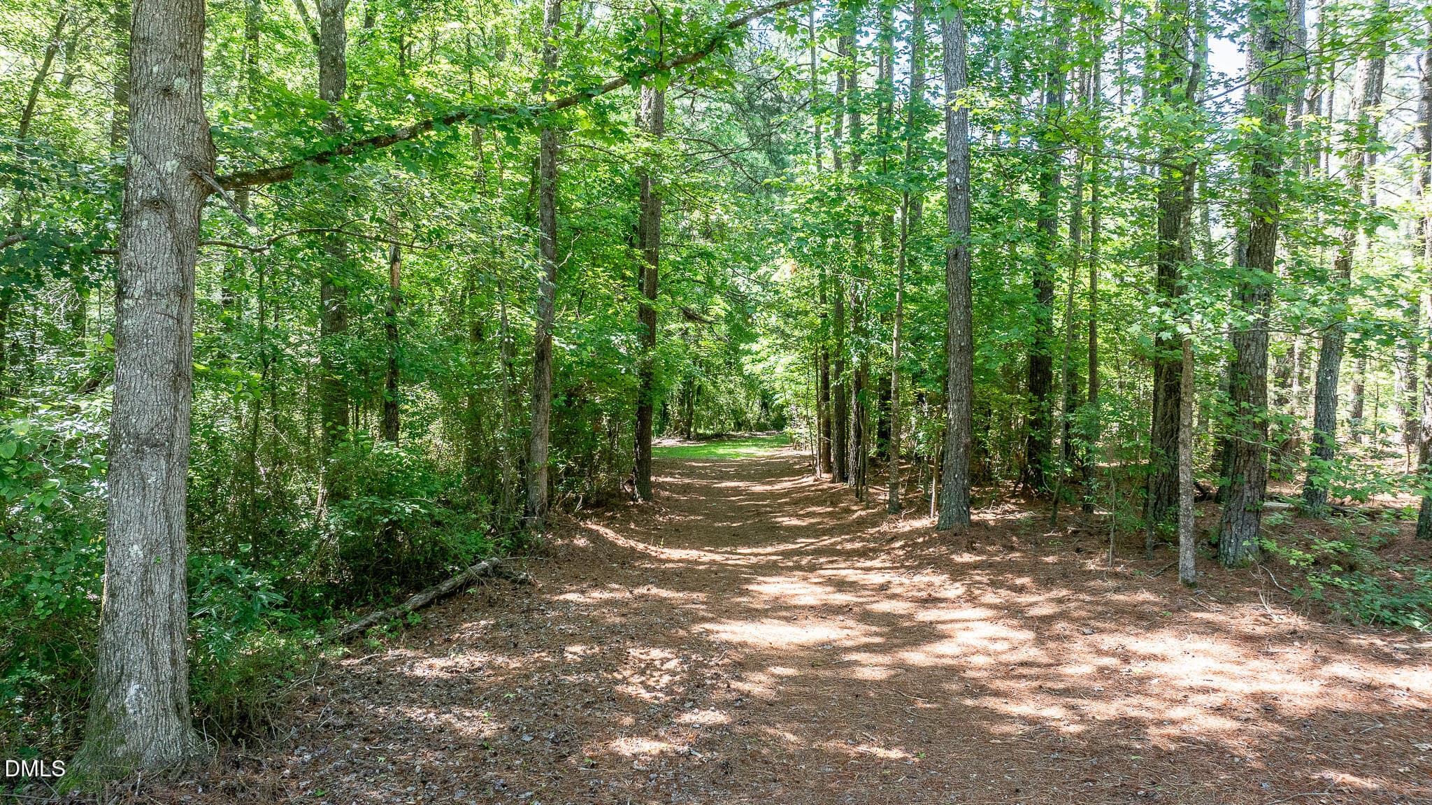 394-Trail - 394 King Road, Castalia, NC 27816