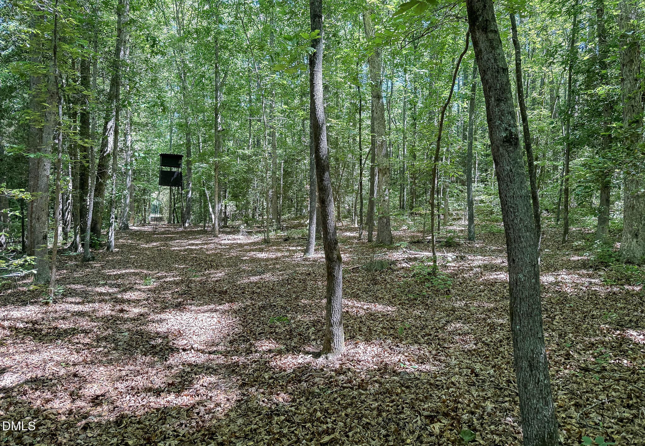 394-Woods - 394 King Road, Castalia, NC 27816