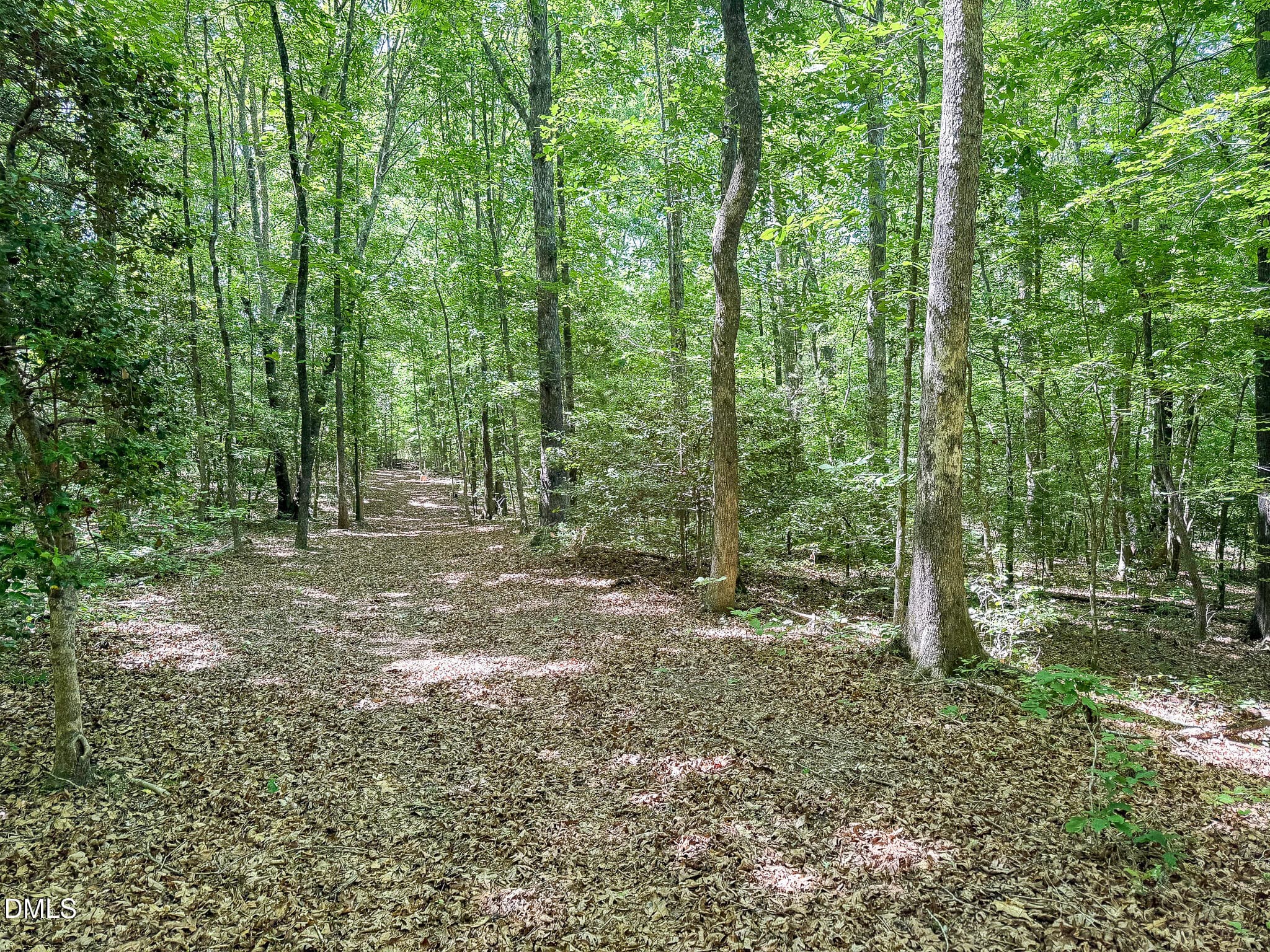 394-Woods2 - 394 King Road, Castalia, NC 27816